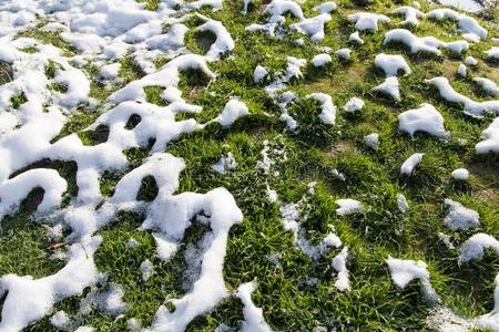 雪向指已提到的人绿色的草采用自然