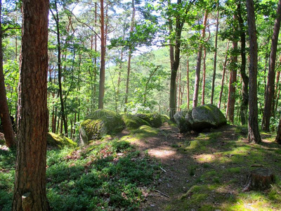 优美的古代诗词风景优美的森林和古代的岩石在阿尔萨斯,法国照片
