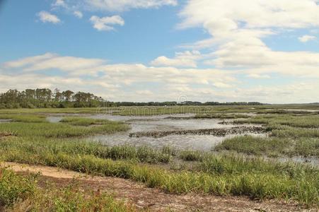潮湿的土壤图片