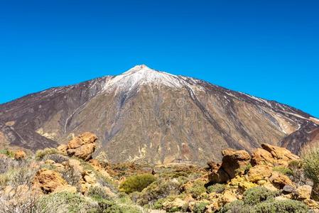 指已提到的人泰德火山采用特内里费岛Spa采用金丝雀岛