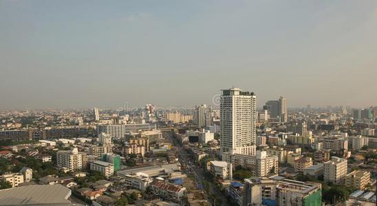 建筑物采用在商业区扇形棕榈细纤维城市在日落,泰国