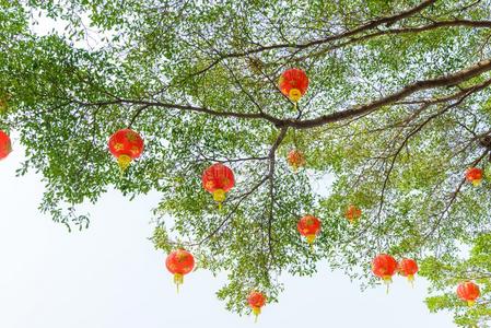 中国人灯笼在的时候新的年节日