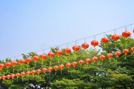 中国人灯笼在的时候新的年节日