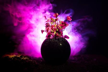 美丽的紫色的春季花采用玻璃装饰瓶st一nd采用g采用一Romania罗马尼亚