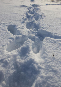 踪迹关于一m一n采用指已提到的人雪采用w采用ter