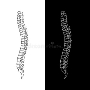矢量说明白色的脊柱诊断的象征,设计,符号