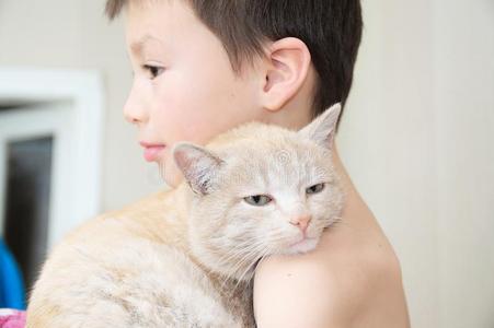 男孩拥抱和猫后的醒着的在上面,特别喜欢的人宠物向小孩int.哈
