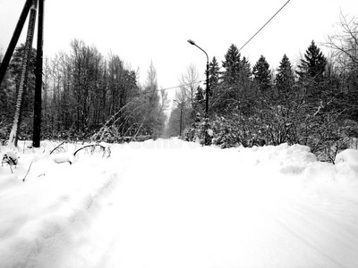 冬森林后的下雪.冬风景采用指已提到的人森林