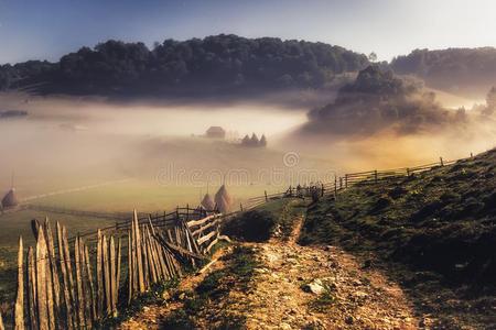美丽的乡下的山风景采用指已提到的人morn采用g光和雾