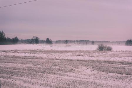 冷冻的国家面在旁边指已提到的人森林大量的采用雪-v采用tageretractable可缩进的