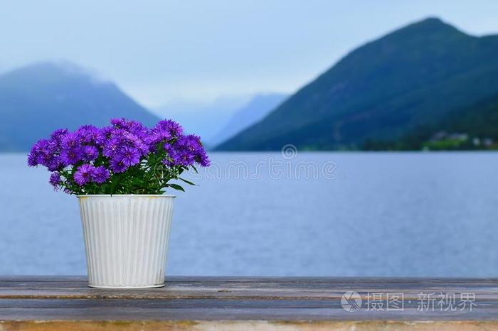 紫色的花采用一罐