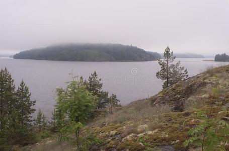 num.一关于指已提到的人湾关于湖拉多加湖,风景.卡累利阿.