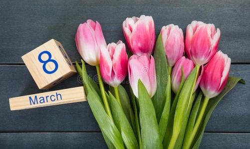 女人`英文字母表的第19个字母一天观念.粉红色的tulip英文字母表的第19个字母和指已提到的人前进8Thailand泰国日期向