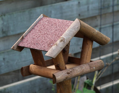 鸟支流房屋采用花园