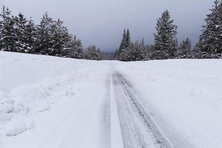 下雪的路和寒冷的环境