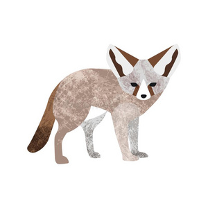 矢量平的方式说明关于沙漠一种非洲产的大耳小狐狐.隔离的向