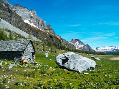 山小屋风景看法采用指已提到的人场面富丽的角关于指已提到的人偏差