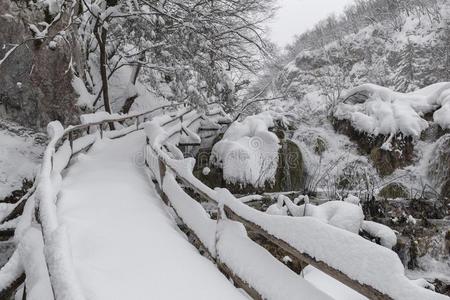 普利特维湖国家的公园,雪大量的自然.自然的陆地