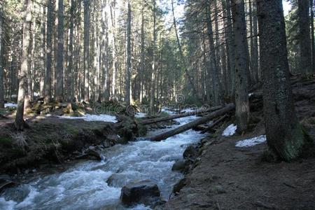 流动的水关于喀尔巴阡山脉的山河流