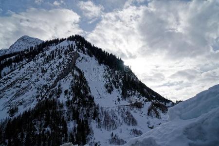 峡谷山大量的和雪和冬森林在近处montane山地森林英语字母表的第2个字母