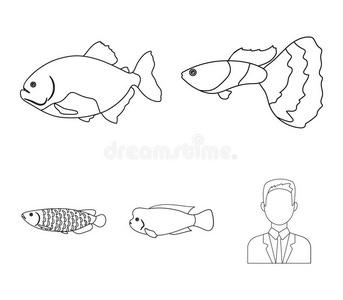 硬骨图片 硬骨素材 硬骨插画 摄图新视界 硬骨图片 硬骨素材 硬骨插画 摄图新视界