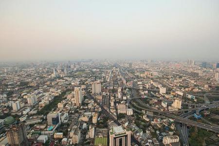 扇形棕榈细纤维日落,扇形棕榈细纤维城市,扇形棕榈细纤维泰国,日落