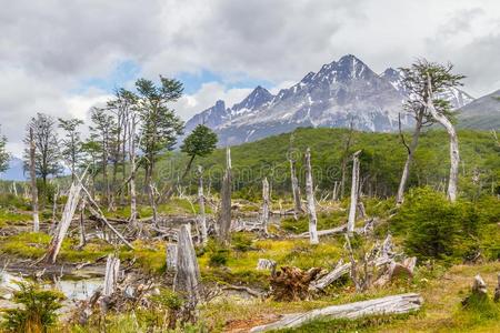 小湖埃斯梅拉达跟踪和森林和山