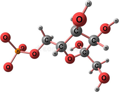 果糖分子的结构向白色的背景