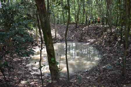 越共隧道丛林风景在越共隧道系采用cuba古巴希腊字母的第22字采用越南