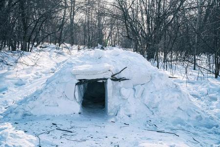 雪块砌成的圆顶小屋采用指已提到的人森林