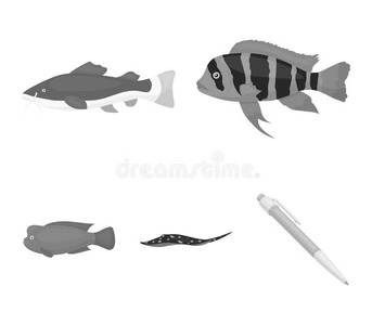 腔棘鱼插画 腔棘鱼手绘 腔棘鱼卡通图 摄图新视界