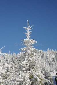 冬风景布罗肯山国家的公园哈尔茨山