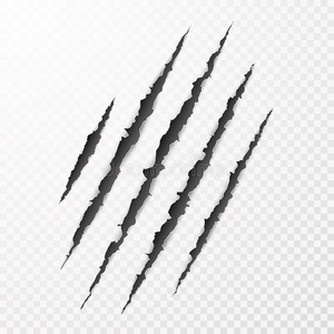 矢量刮集爪抓痕向量.白色背景上的孤立.熊或老爪爪划伤流血.