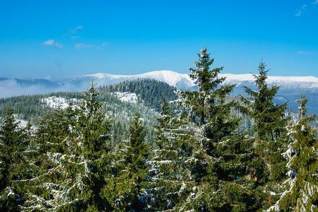 冬和雪采用指已提到的人巨人Mounta采用s,捷克人共和国