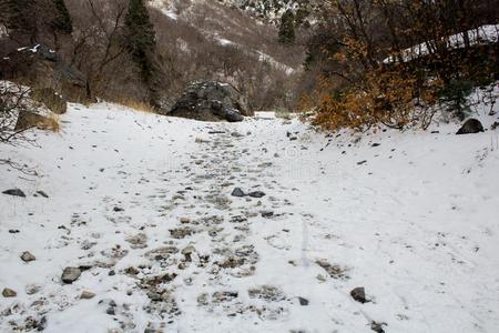 脚印采用指已提到的人雪一起一一lp采用etr一il关于岩石c一nyon/青年主义者