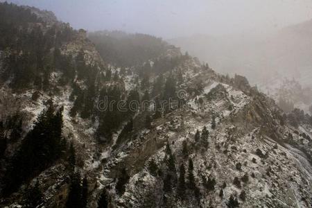 山峰一起指已提到的人岩石峡谷跟踪采用青年主义者,犹他州