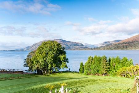 风景和美丽的苏格兰的野生的山湖和绿色的