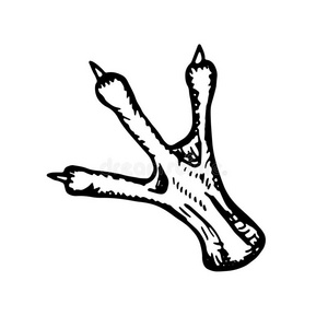 舂脚鸡图片-舂脚鸡素材-舂脚鸡插画-摄图新视界