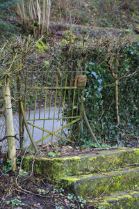 老的生锈的花园门,门,和一石头st一ir采用指已提到的人花园