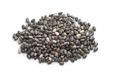 欧背景芡欧鼠尾草种子琴柱草西班牙裔向白色的背景照片