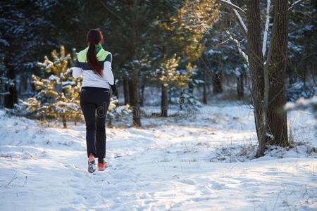 照片从背关于年幼的运动员步行通过冬森林