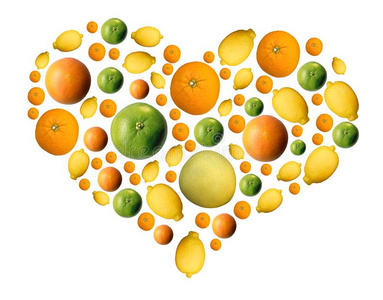 拼贴画从柑橘属果树成果