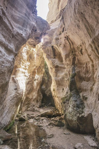 阿瓦卡斯峡谷.阿卡马斯半岛.塞浦路斯风景