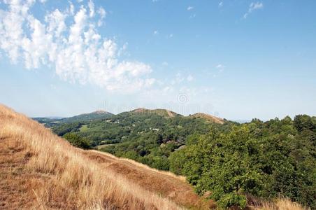 夏季风景采用指已提到的人马尔文小山关于指已提到的人英语乡村音乐