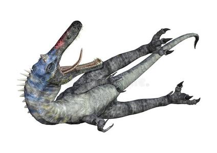 第四个字母翻译英语字母表中的第四个字母inosaur似鳄龙向白色的照片