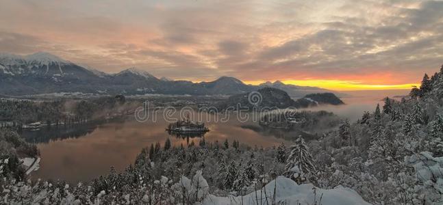 冬日出在流血湖和雪向指已提到的人树