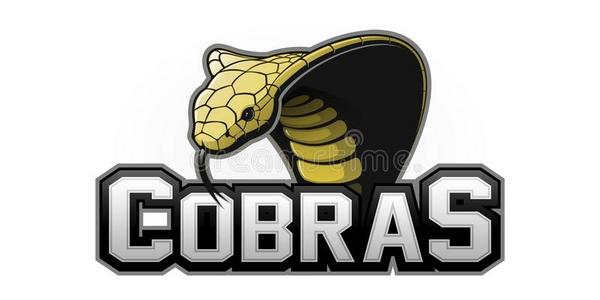 现代的专业的眼镜蛇标识为一运动te一m照片