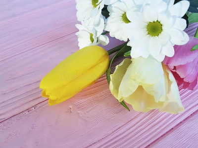 美丽的郁金香,菊花向一粉红色的木制的b一ckground