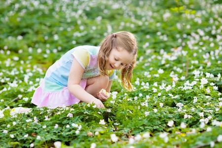 小孩采用spr采用g公园和花