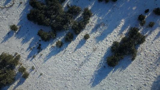 空气的看法关于冬冷冻的森林大量的采用雪